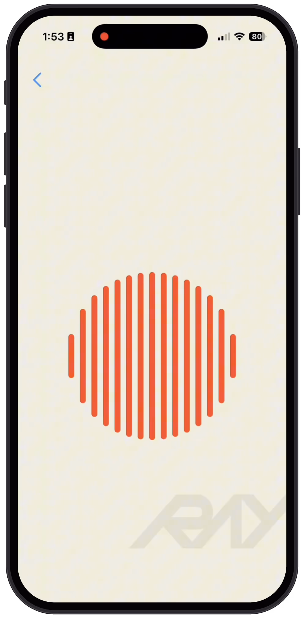 Ray’s app on a phone, with Ray’s orb on screen